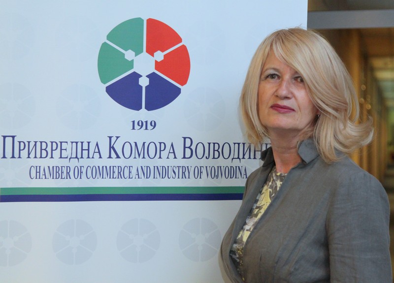 Недостатак професионалних возача